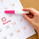 shutterstock 2062037636 b4e5734c 2a4b 40fe 84a8 f362a6904f78